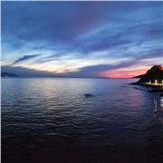 Insegnante diritto ed economia